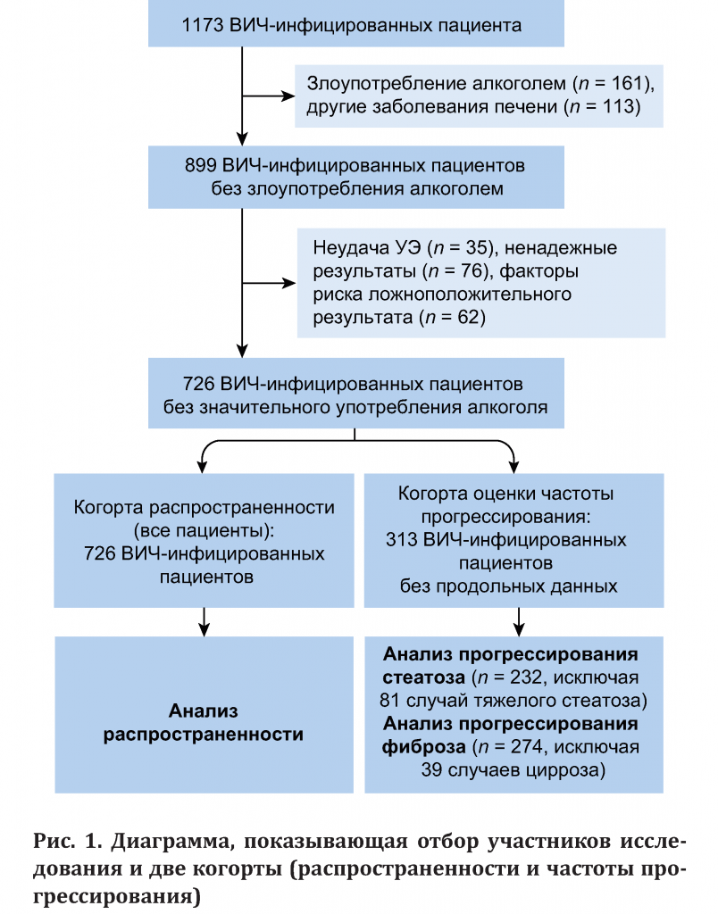 Более быстрое прогрессирование стеатоза печени у пациентов с моноинфекцией  ВИЧ, чем у пациентов со смешанной инфекцией ВИЧ/HCV, и его связь с фиброзом  печени – Journal of HepatologyJournal of Hepatology